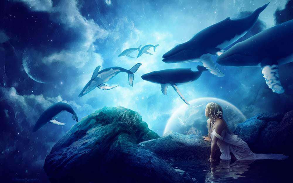 T4W - Web Marketing | Google ed il reindirizzamento 301 da un sito penalizzato whales_dream